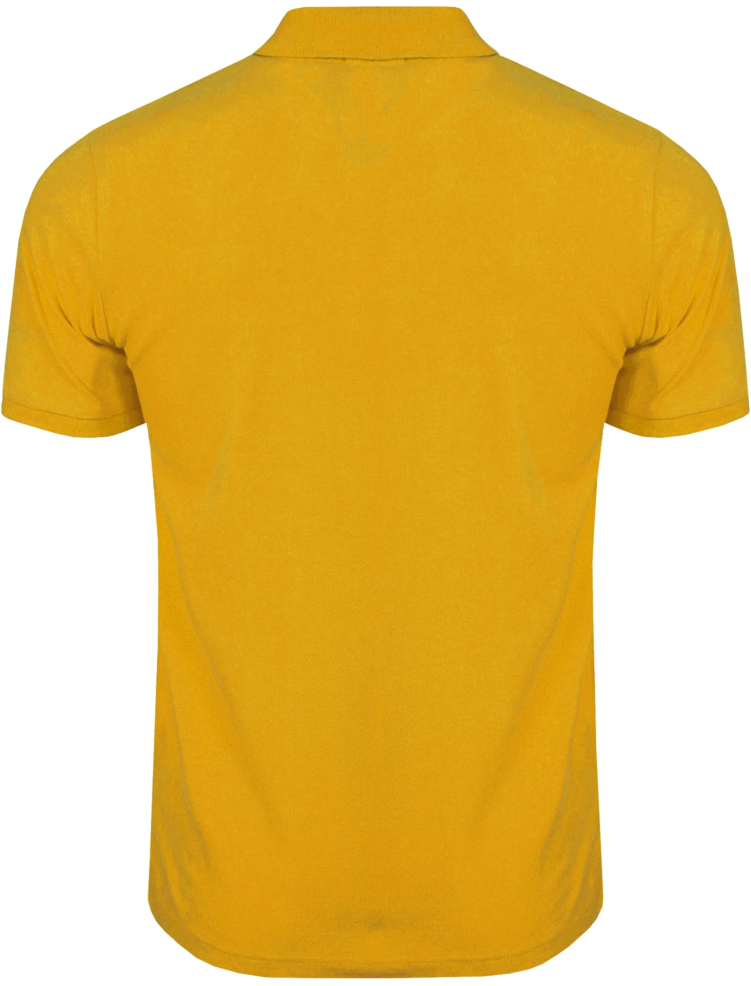 Penn State Polo Shirt in Yellow Iris - Tokyo Laundry sold by Tokyo Laundry product image thumbnail 2