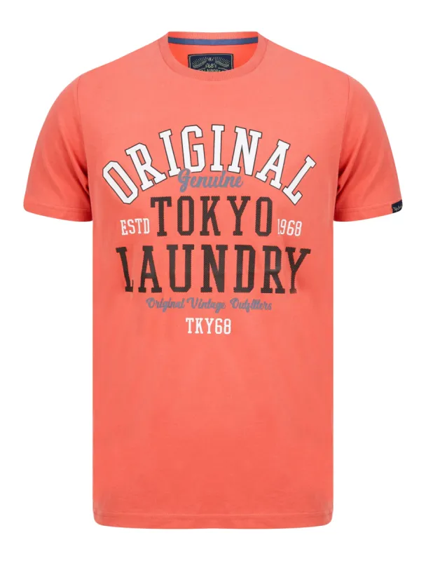 Dischord Motif Cotton Jersey T-Shirt in Faded Peach - Tokyo Laundry sold by Tokyo Laundry