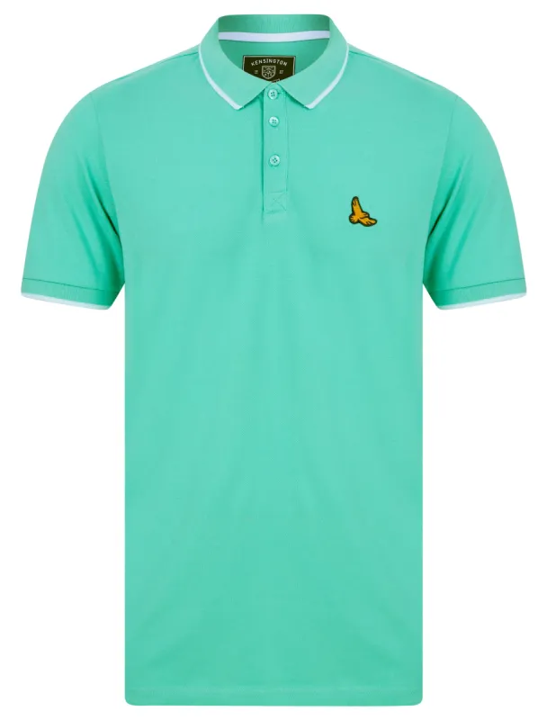 Stenhouse Cotton Pique Polo Shirt in Dusty Jade Green - Kensington Eastside sold by Tokyo Laundry