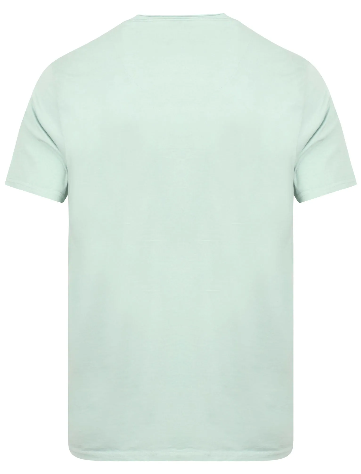 Zac Crew Neck Cotton T-Shirt with Pocket In Mint - Tokyo Laundry sold by Tokyo Laundry product image thumbnail 2