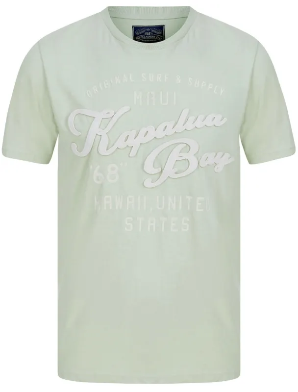 Kapalua Motif Cotton Jersey T-Shirt In Seacrest Green - Tokyo Laundry sold by Tokyo Laundry