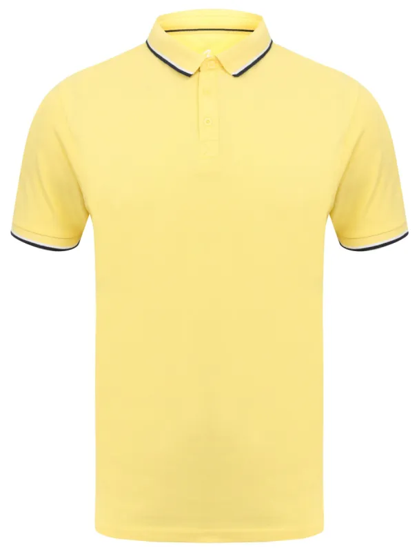Rocky Bay Classic Cotton Pique Polo Shirt with Tipping In Yellow - South Shore sold by Tokyo Laundry