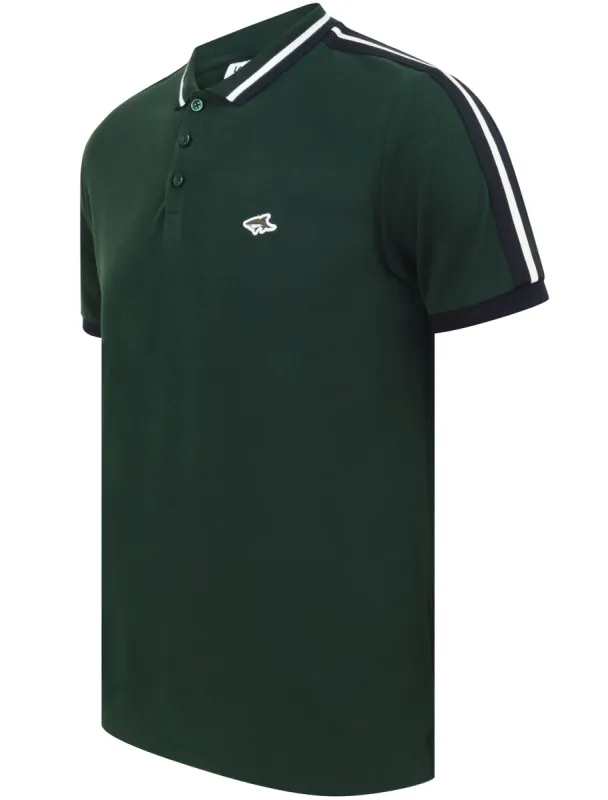 Crown Cotton Pique Polo Shirt with Racer Stripe Sleeves In Pine Grove - Le Shark sold by Tokyo Laundry