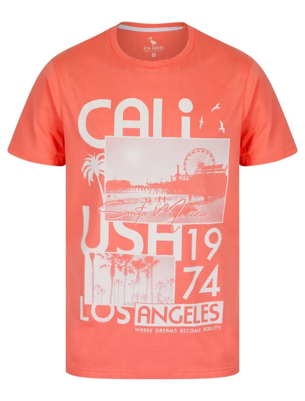 Cali Dreams Motif Cotton Jersey T-Shirt in Peach Blossom - South Shore sold by Tokyo Laundry