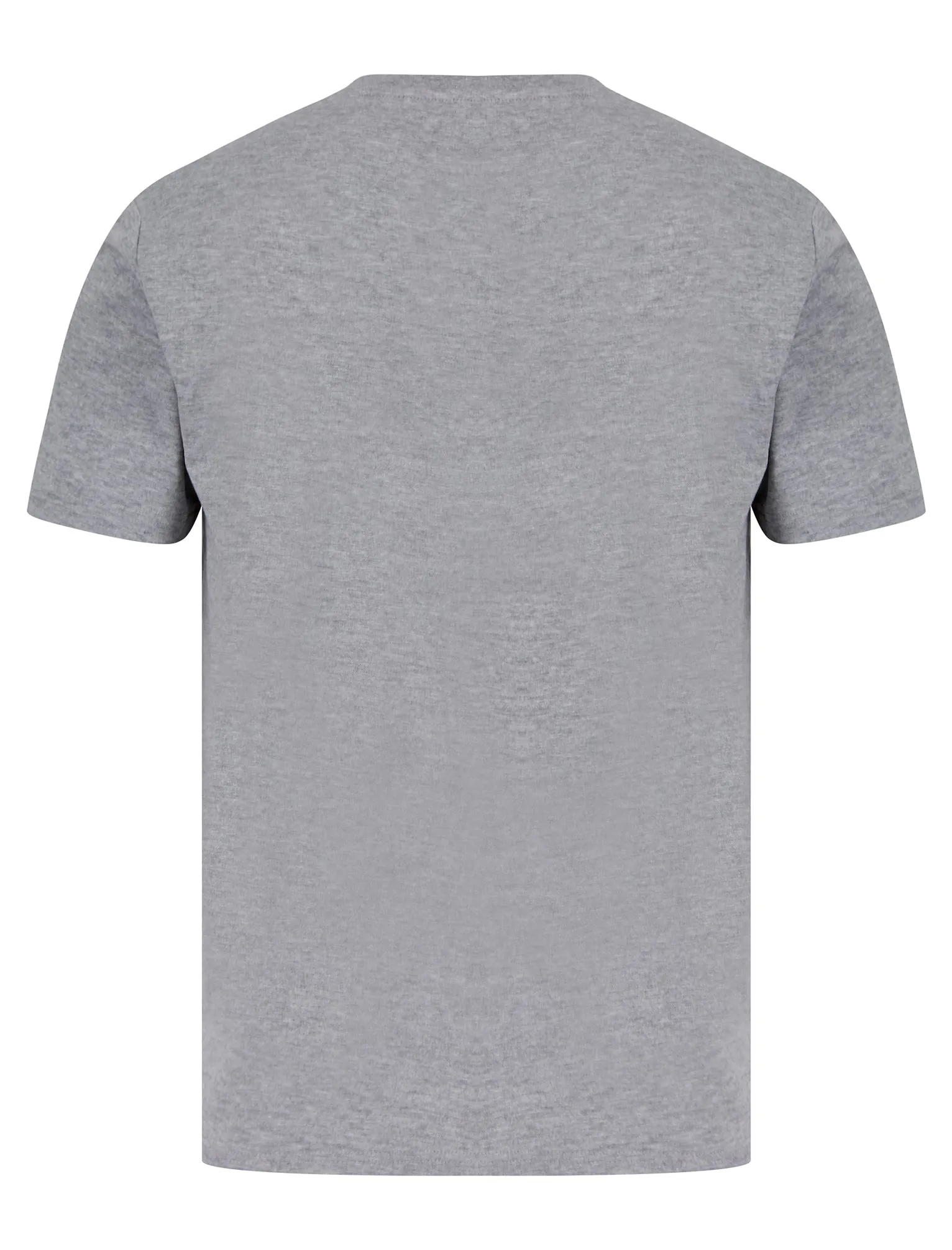 Armagh Motif Cotton Jersey T-Shirt in Light Grey Marl - South Shore sold by Tokyo Laundry product image thumbnail 2