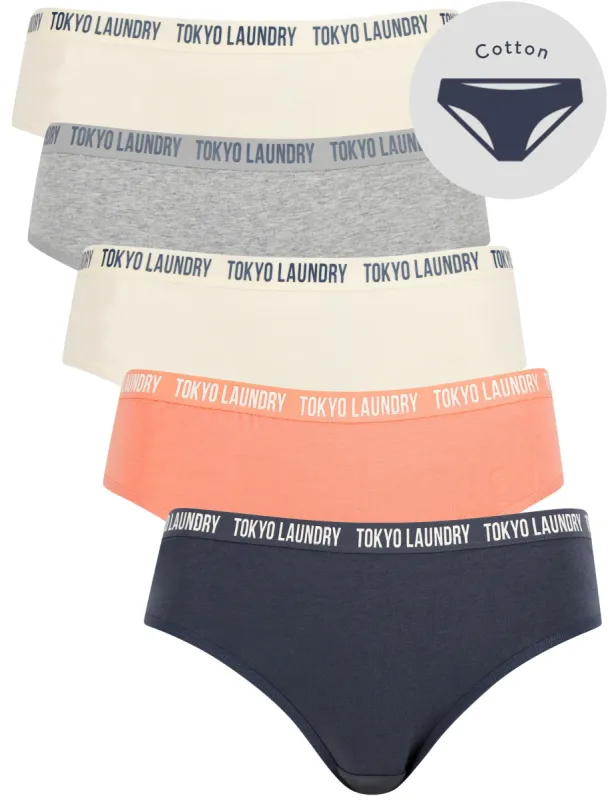 Alice (5 Pack) Cotton Assorted Briefs in Jet Stream / Light Grey Marl / Terracotta / Ombre Blue - Tokyo Laundry sold by Tokyo Laundry