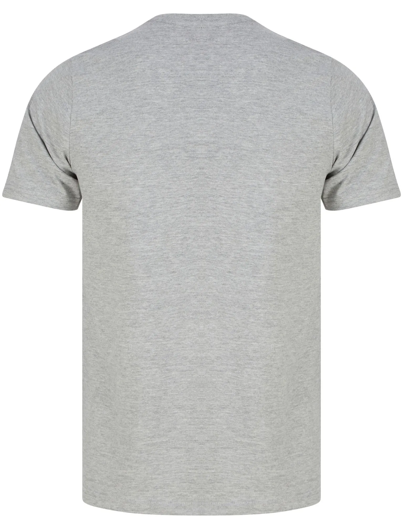 Dakota Speedsters Motif Cotton Jersey T-Shirt in Light Grey Marl - Tokyo Laundry sold by Tokyo Laundry product image thumbnail 2