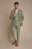 Caridi - Men's Sage Green 3 Piece Checked Suit sold by Tru Clothing