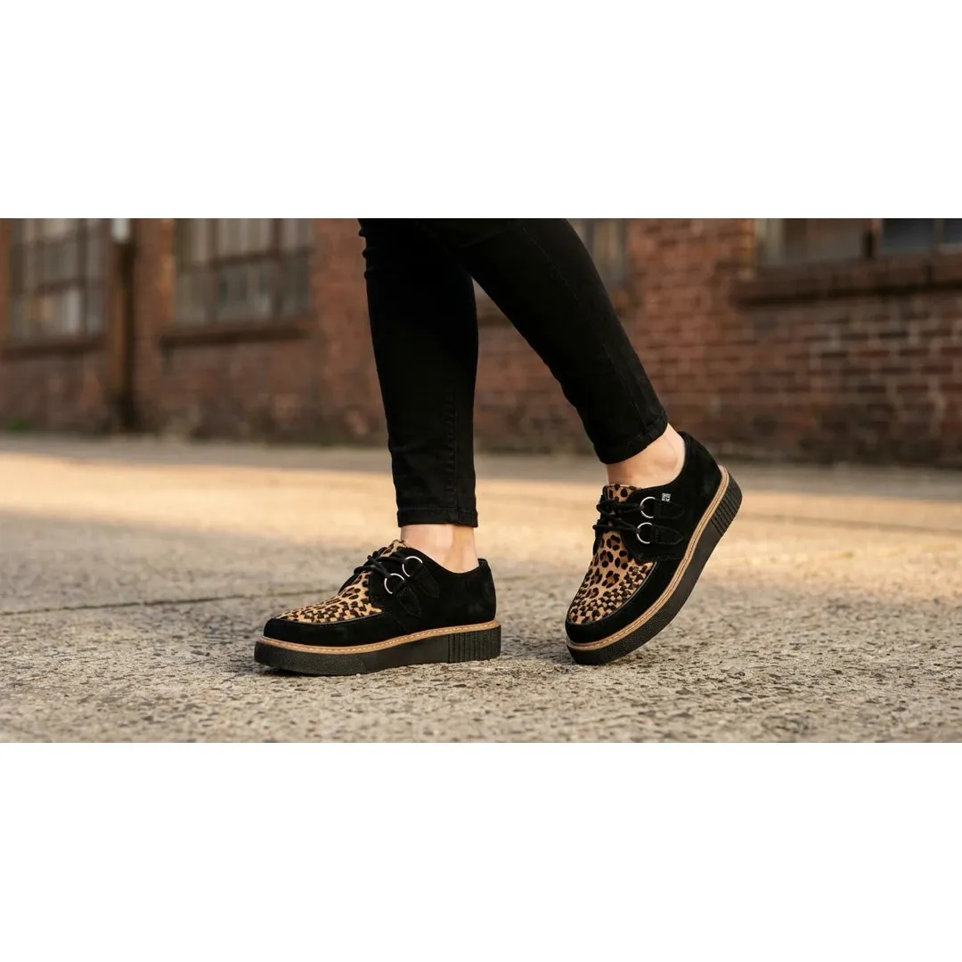Pointed Creeper Sneaker Black Leopard Canvas Platform Shoes sold by Tru Clothing product image thumbnail 2