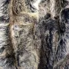Women's Gold Brown 3/4 Length Warm Luxury Toscana Sheepskin Coat sold by Tru Clothing
