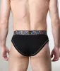 Timoteo Pride 24 Brief sold by Underwear Expert
