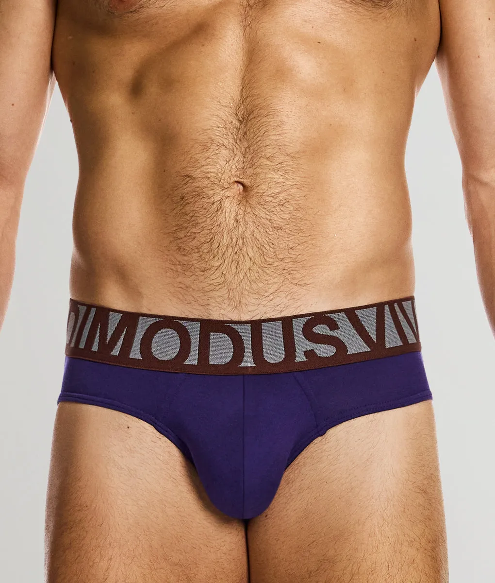 Modus Vivendi Classic Brief sold by Underwear Expert product image thumbnail 4