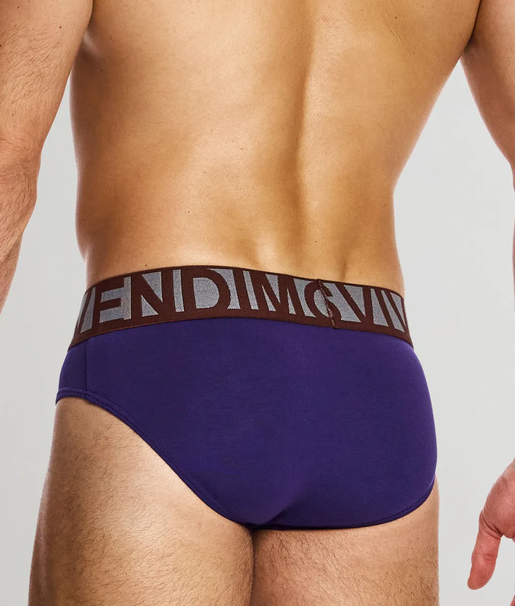 Modus Vivendi Classic Brief sold by Underwear Expert product image thumbnail 5