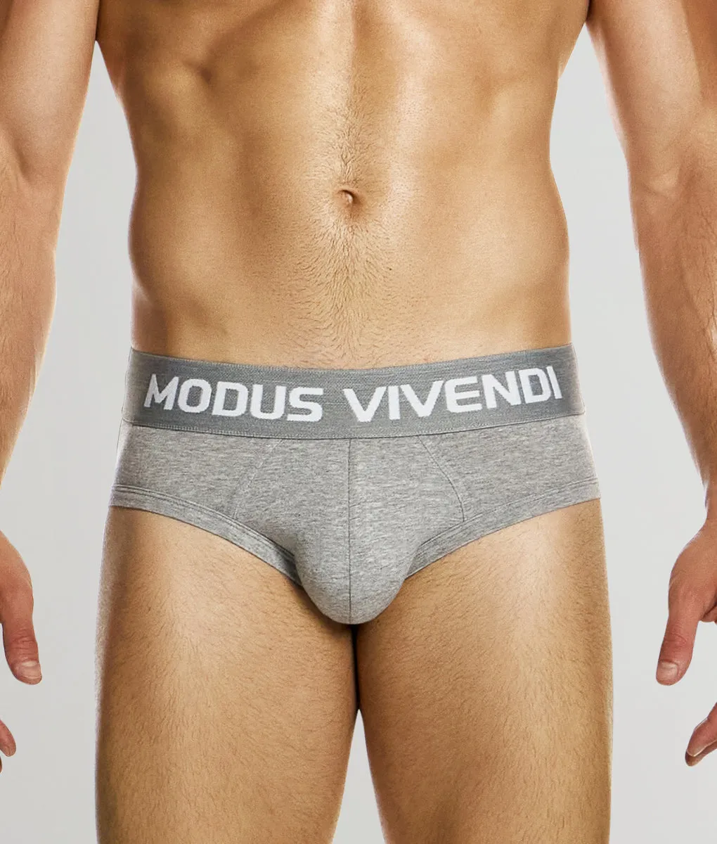 Modus Vivendi Classic Brief sold by Underwear Expert product image thumbnail 4
