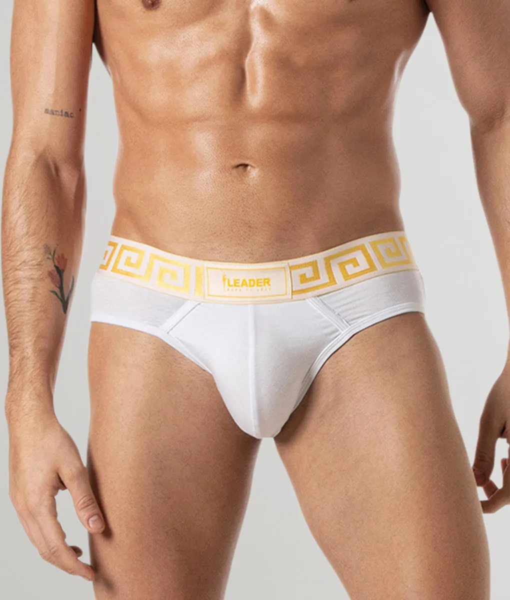 Leader Invictus Brief sold by Underwear Expert product image thumbnail 4