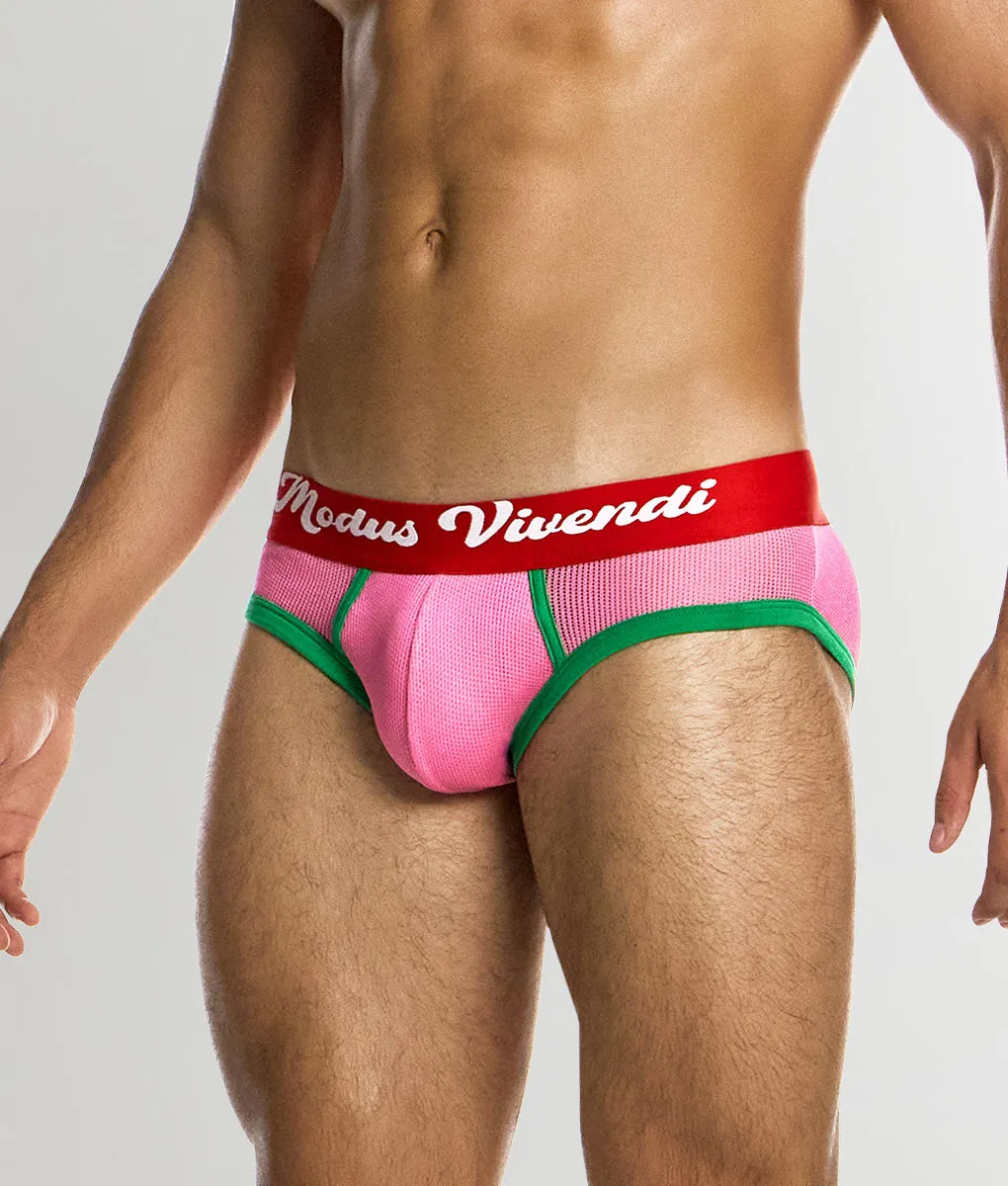 Modus Vivendi Retro Classic Brief sold by Underwear Expert product image thumbnail 3