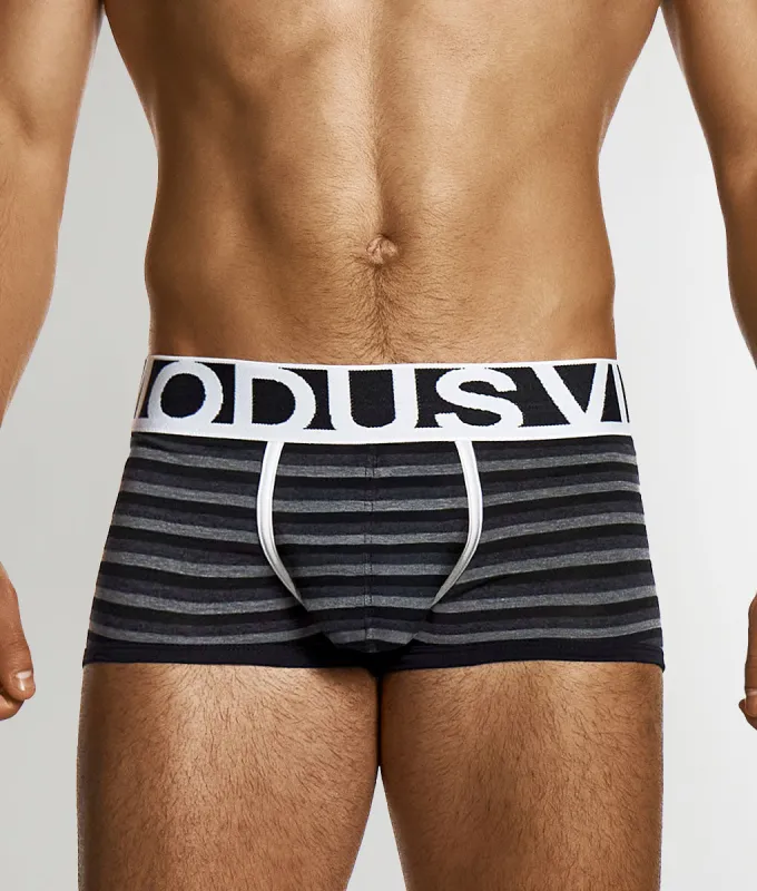 Modus Vivendi Striped Trunk sold by Underwear Expert