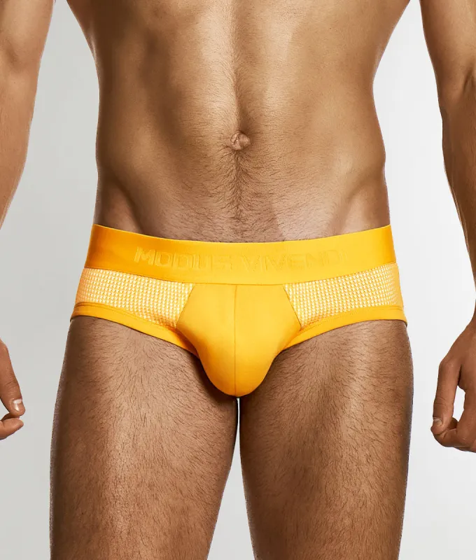Modus Vivendi Pied de Coq Classic Brief sold by Underwear Expert