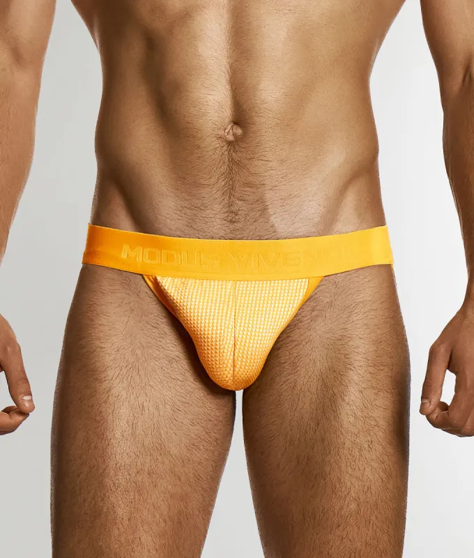 Modus Vivendi Pied de Coq Jockstrap sold by Underwear Expert
