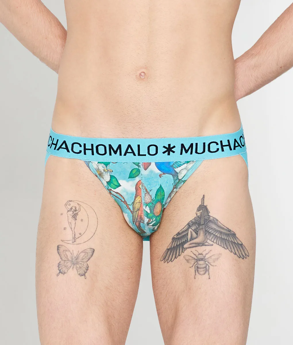 Muchachomalo Fruit Origin Jockstrap sold by Underwear Expert