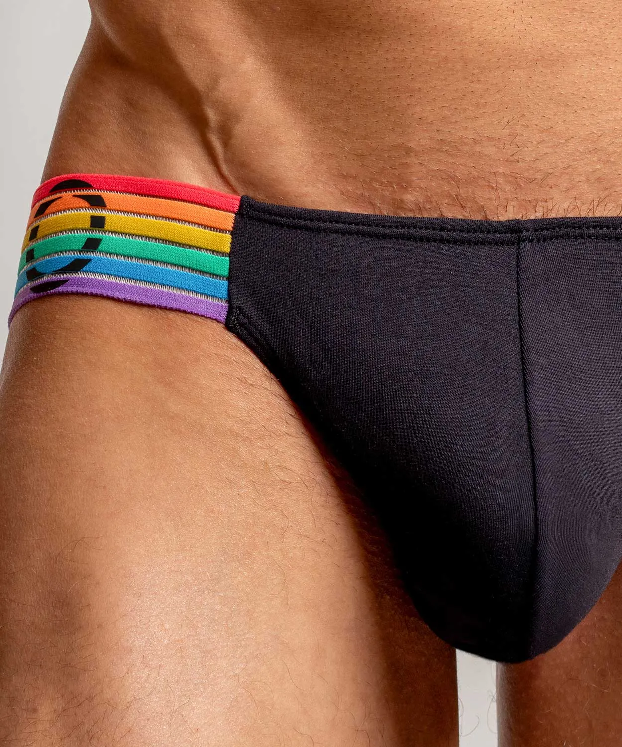 Rounderbum Waveform Pride Padded Bikini Brief sold by Underwear Expert product image thumbnail 2