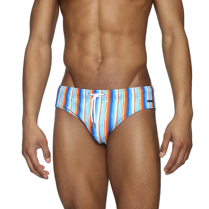 Parke & Ronen Pacific Tidebreak Stripe Printed Meridian Swim Bikini Brief made by Parke & Ronen