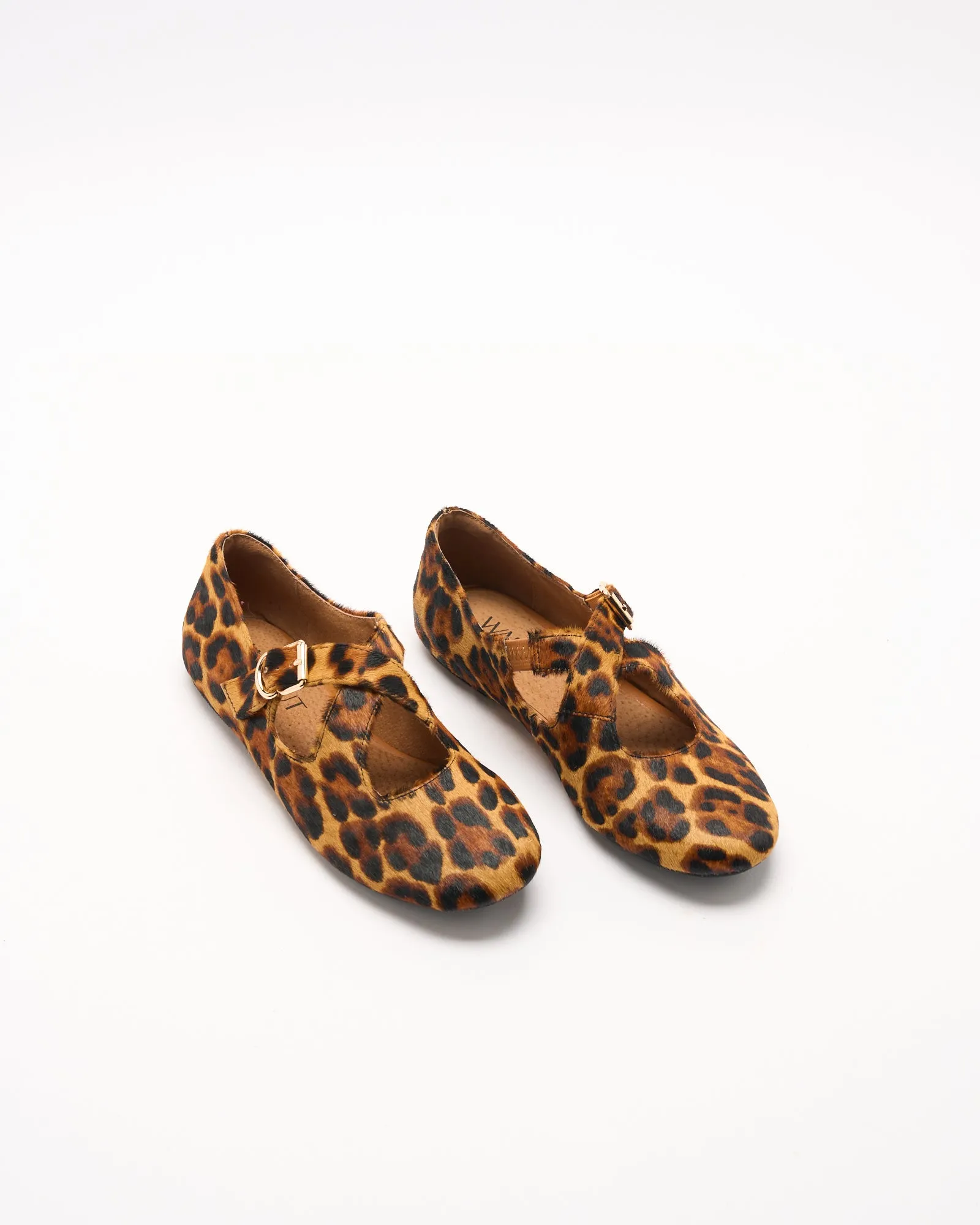 Rani Leather Ballet - Tan Leopard sold by Walnut Melbourne product image thumbnail 2