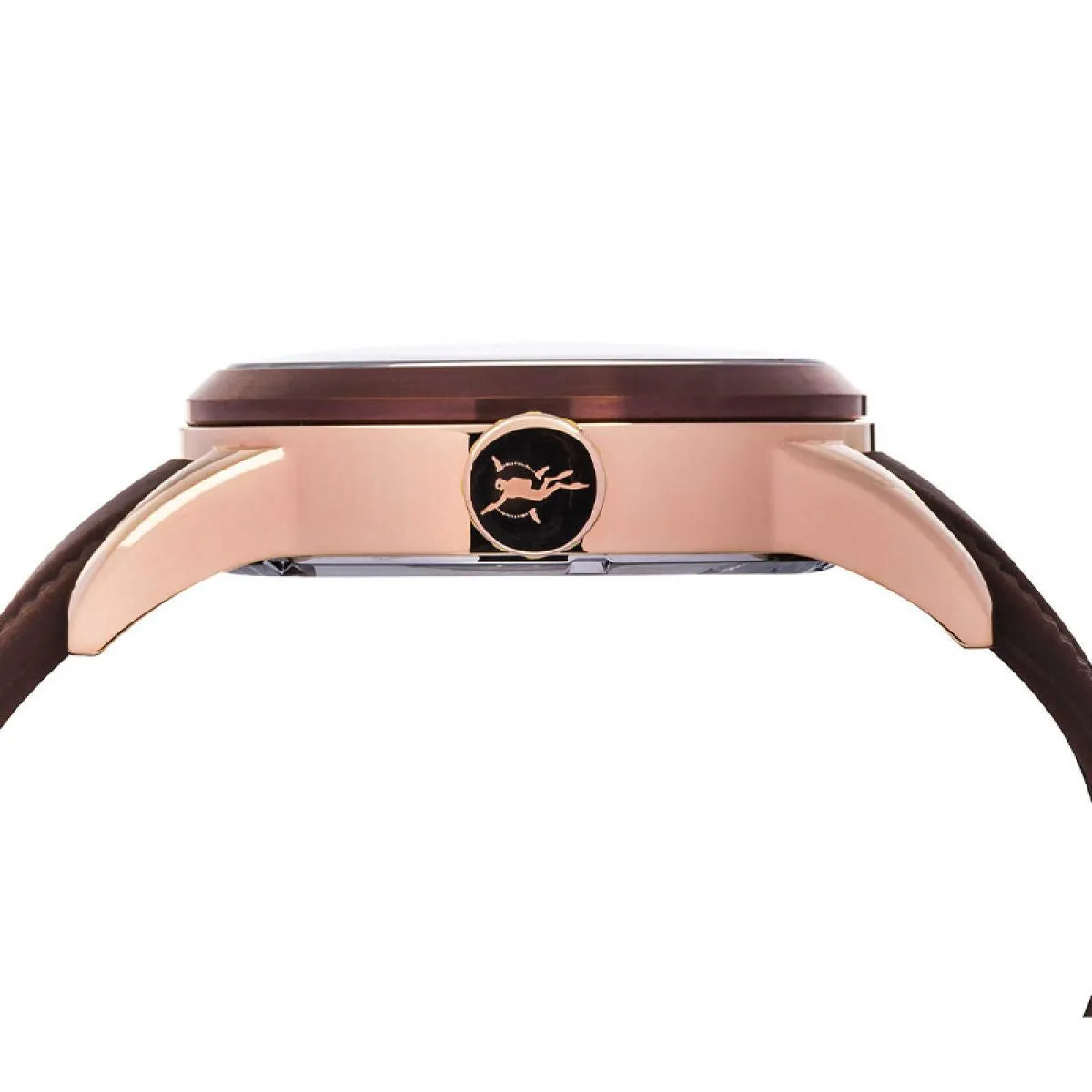 Strumento Marino SM127S-RG-MR-MR Horloge Heren 46MM 10ATM sold by Watch2Day product image thumbnail 2