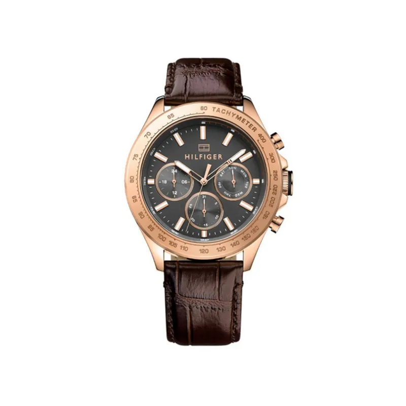 Tommy Hilfiger Hudson TH1791225 sold by Watch2Day