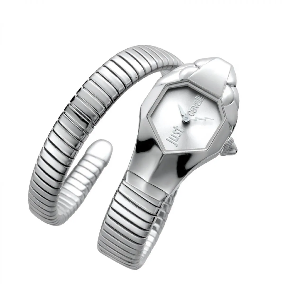 Just Cavalli Horloge JC1L001M0015 Dames 22mm sold by Watch2Day product image thumbnail 2