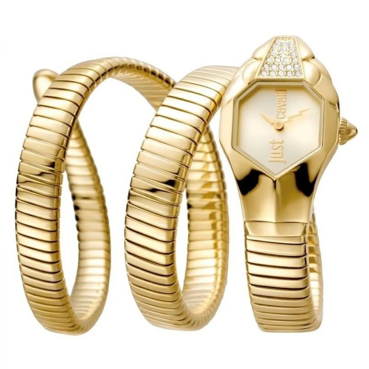 Just Cavalli Glam Chic | JC1L022M0025 sold by Watch2Day