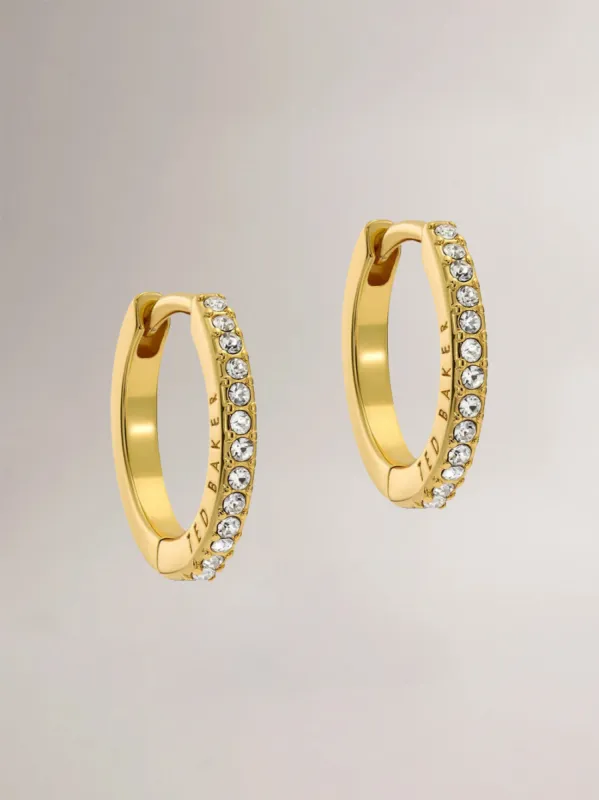 TED BAKER HEPLIE EARRINGS sold by Yeltuor