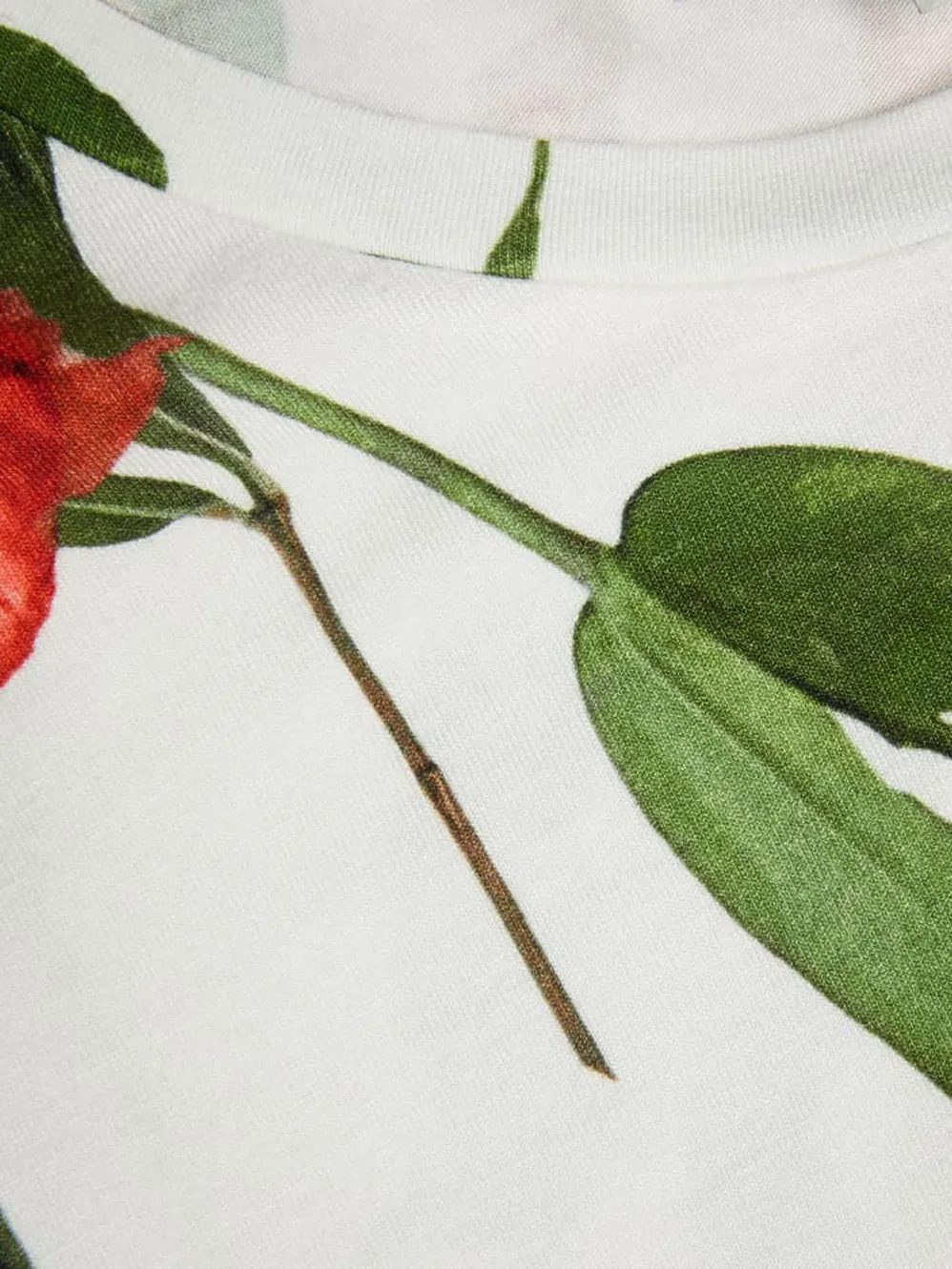 TED BAKER TREYYA FITTED TEE sold by Yeltuor product image thumbnail 4