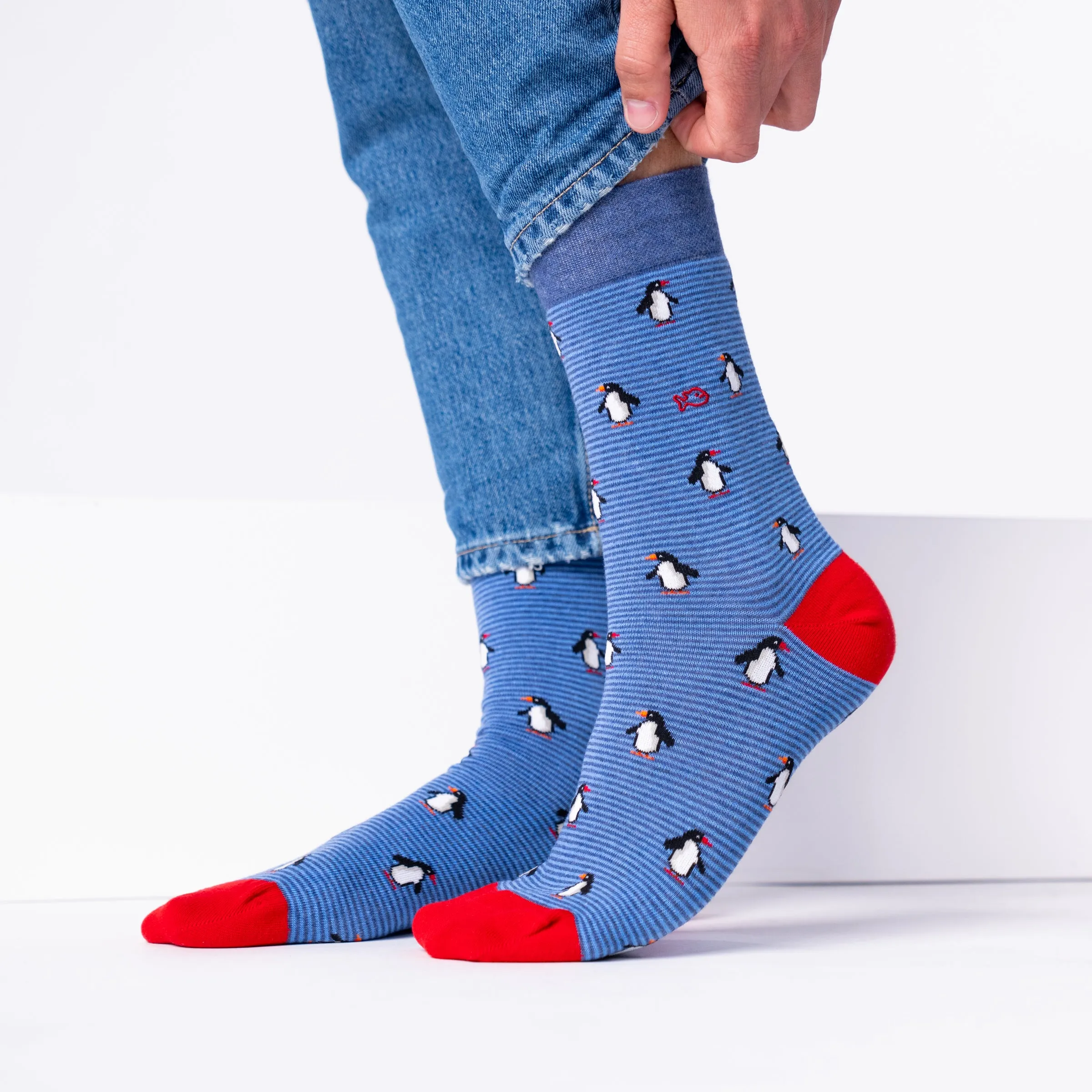 Chaussettes en coton peigné animaux - Pingouin sold by Billybelt product image thumbnail 2