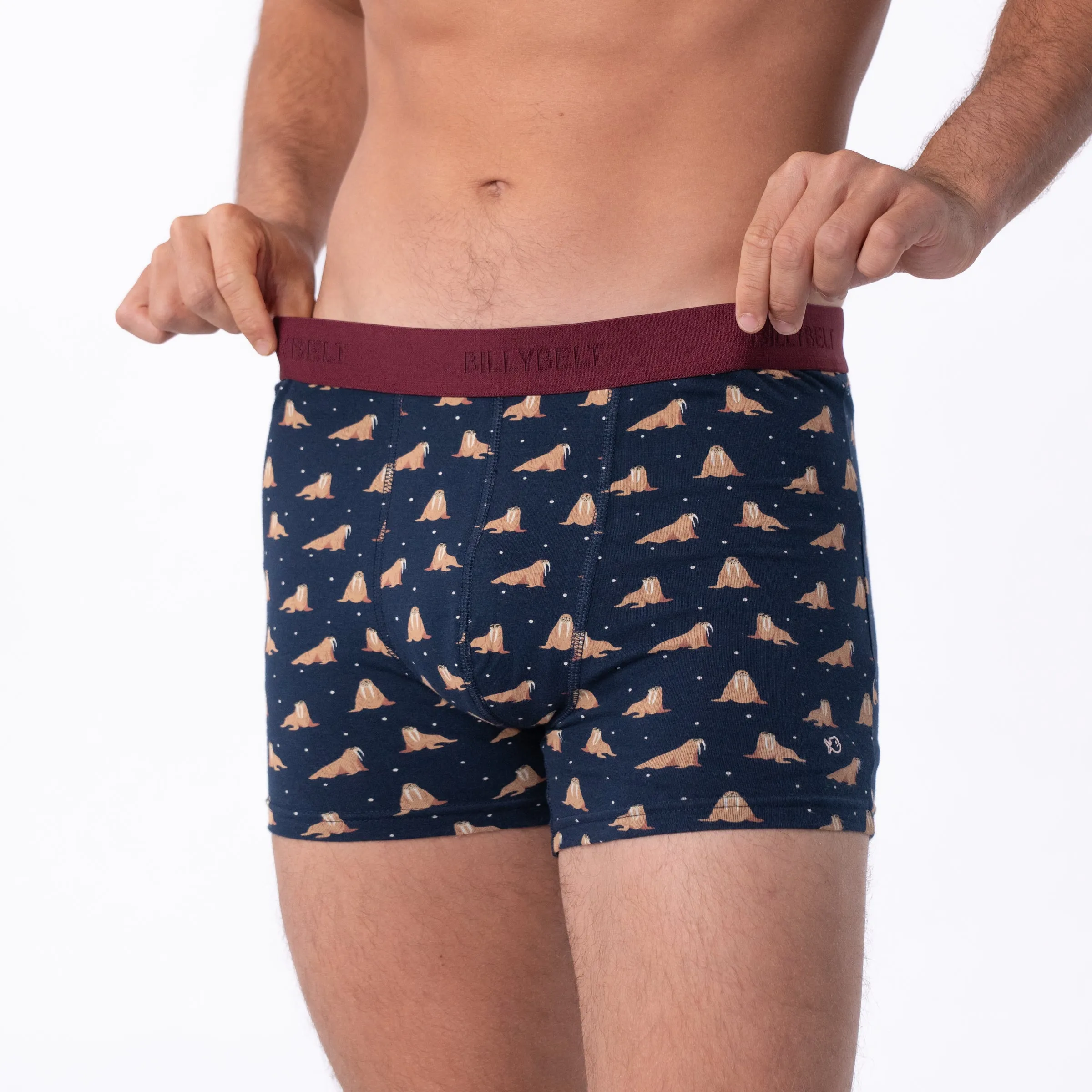 Boxer en coton bio - Freya sold by Billybelt product image thumbnail 5