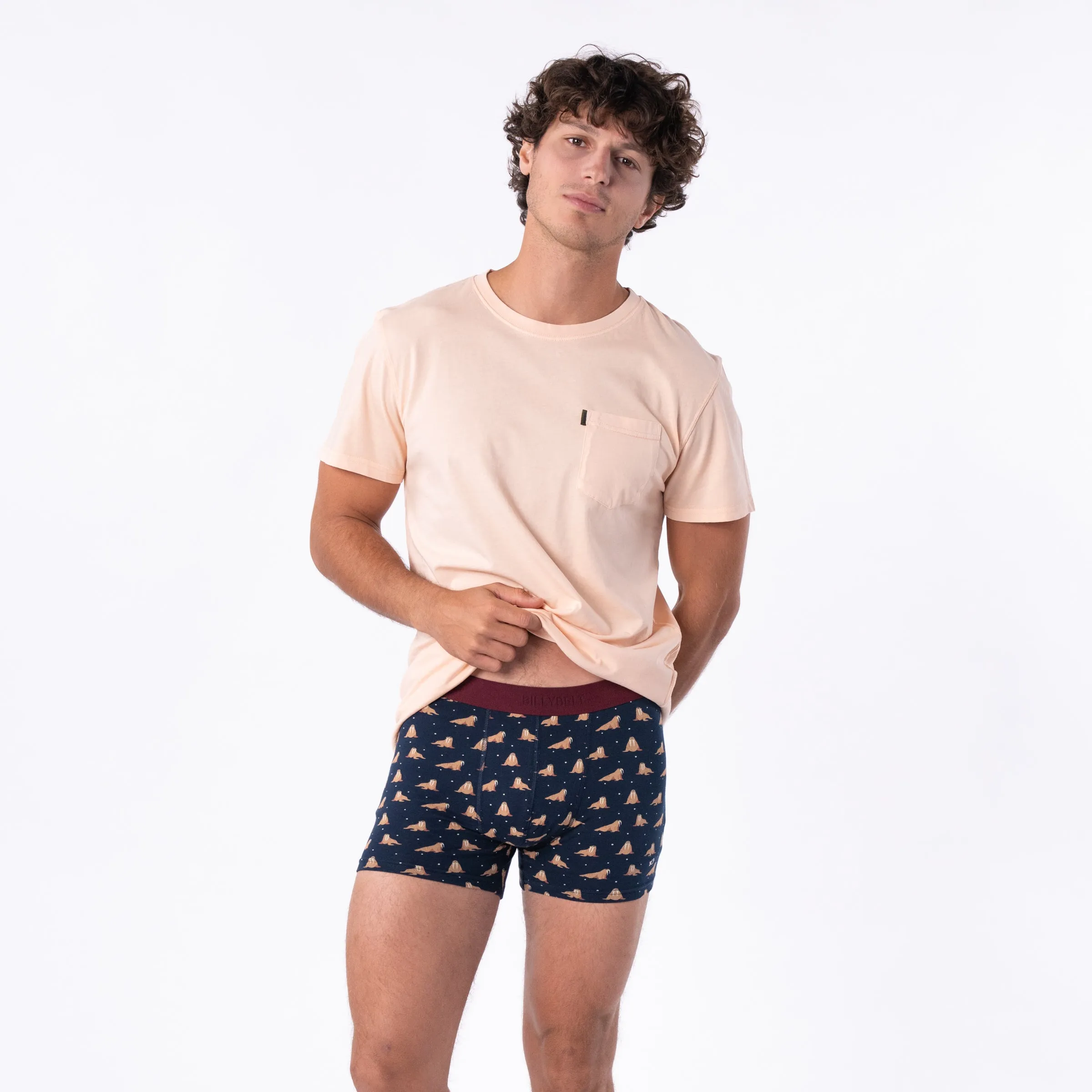 Boxer en coton bio - Freya sold by Billybelt product image thumbnail 2