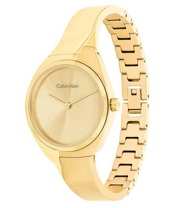 Calvin Klein Ladies sold by Jura Watches product image thumbnail 2