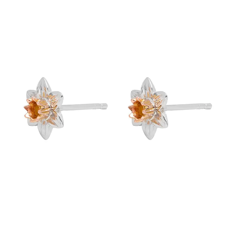 Clogau Daffodil Sterling Silver Stud Earrings sold by Jura Watches product image thumbnail 2