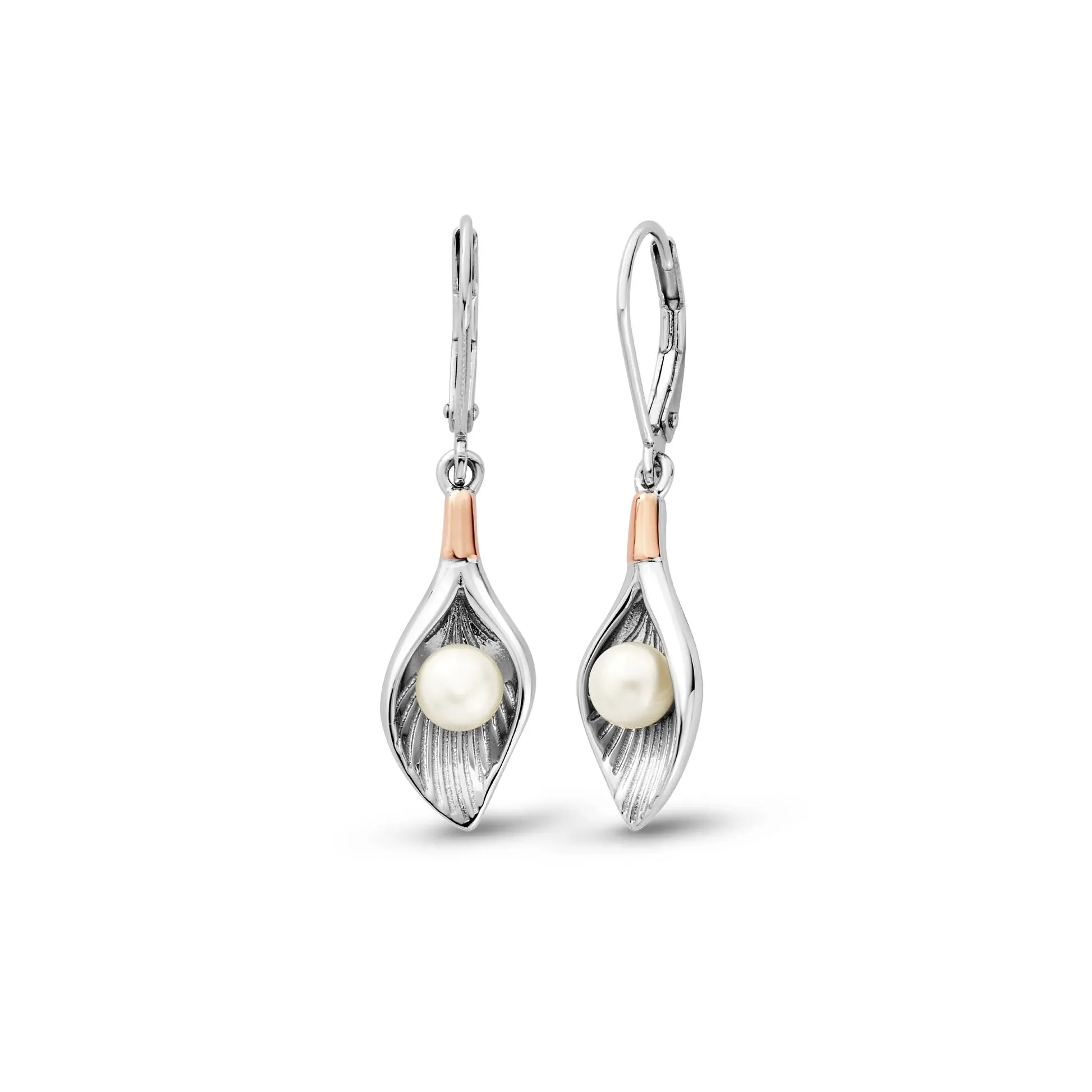Clogau Beachcomber Shell Silver and Pearl Earrings sold by Jura Watches