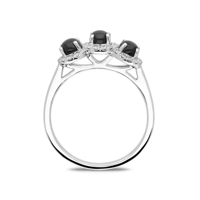 18ct White Gold Whitby Jet 0.24ct Diamond Three Stone Ring sold by Jura Watches product image thumbnail 2