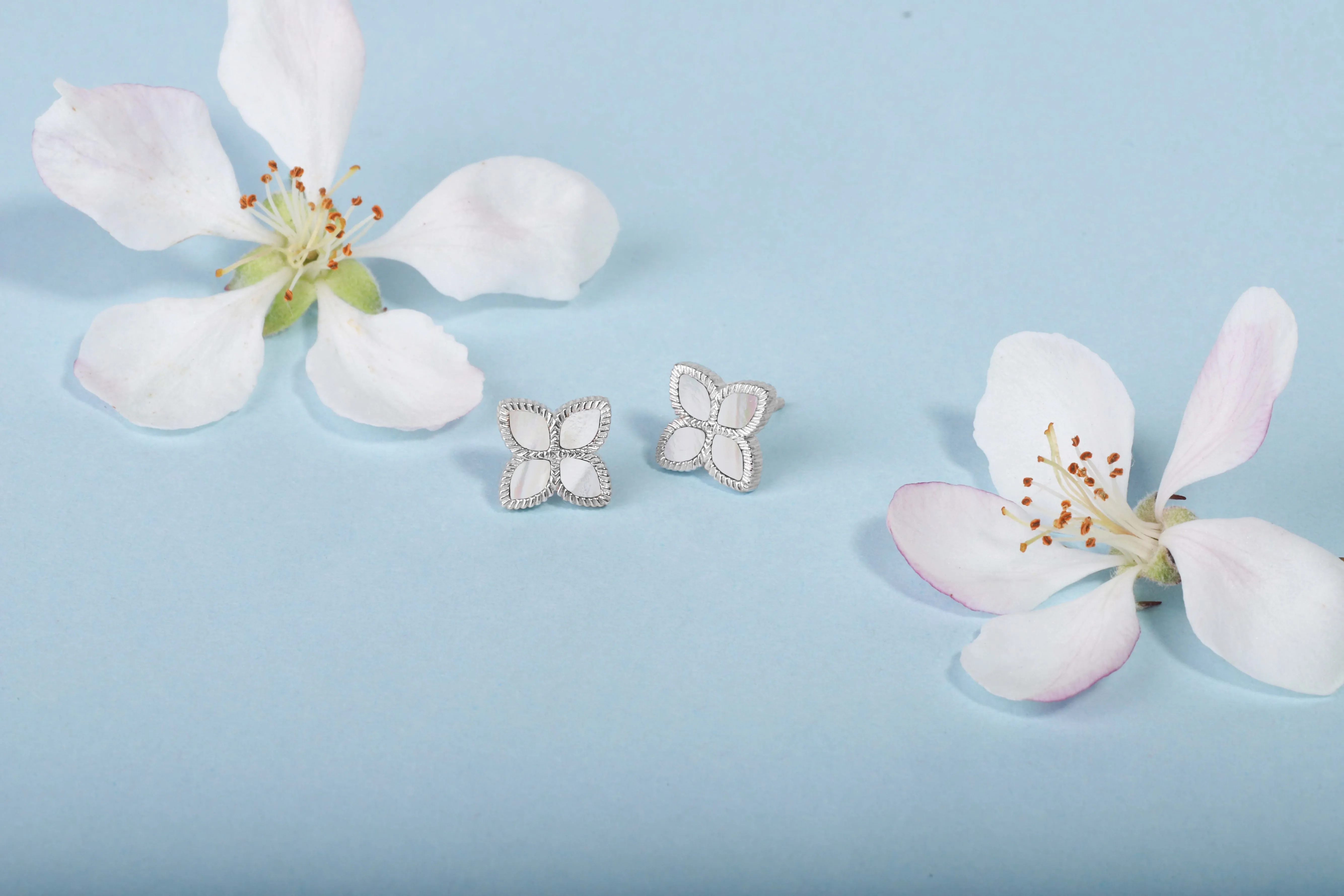 18ct White Gold White Mother of Pearl Eden Marquise Flower Stud Earrings sold by Jura Watches product image thumbnail 4