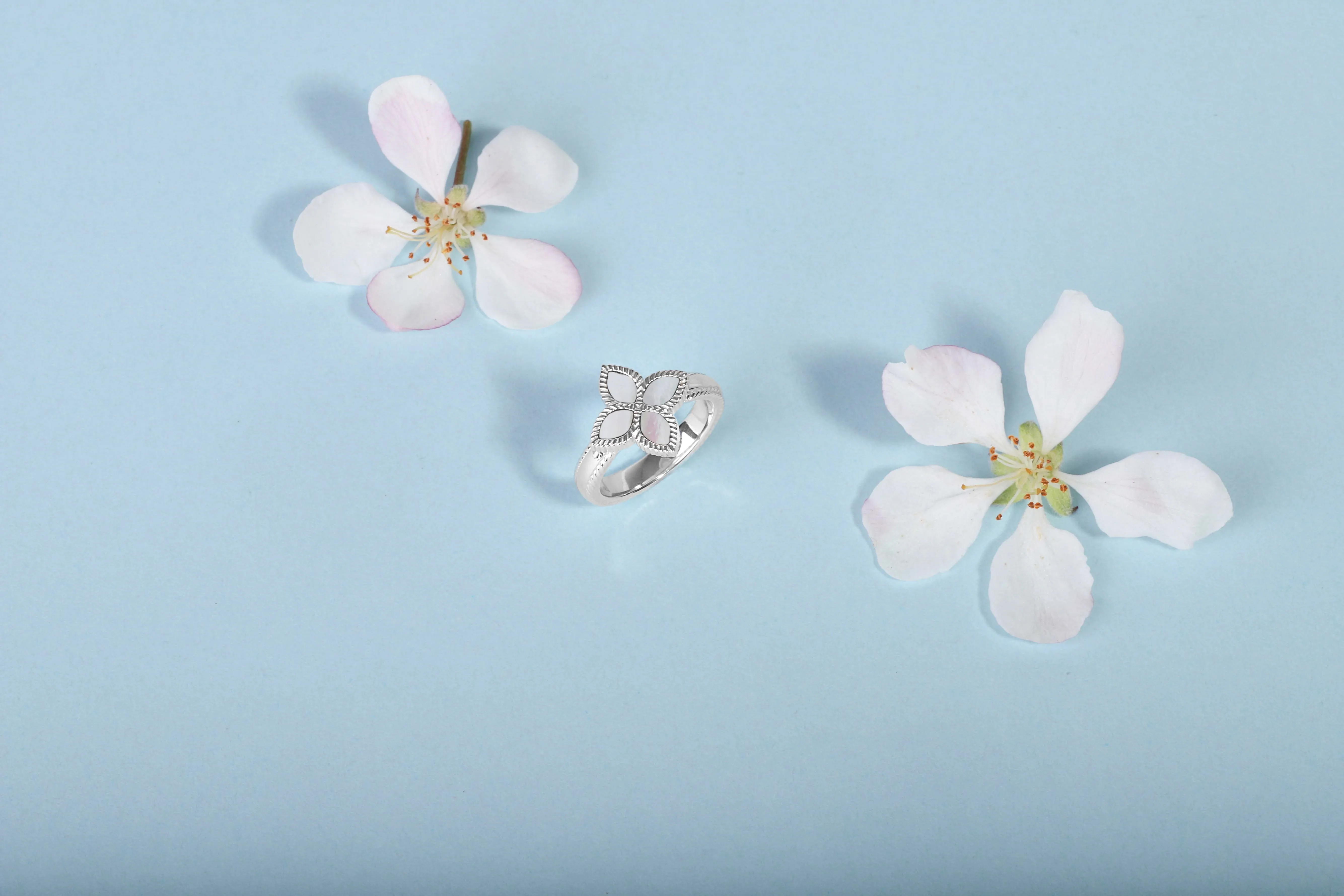 18ct White Gold White Mother of Pearl Eden Marquise Flower Ring sold by Jura Watches product image thumbnail 5