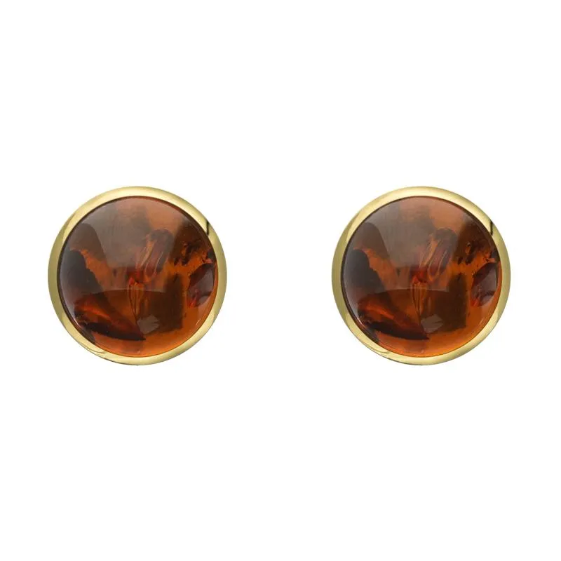 9ct Yellow Gold Amber 6mm Classic Medium Round Stud Earrings sold by Jura Watches