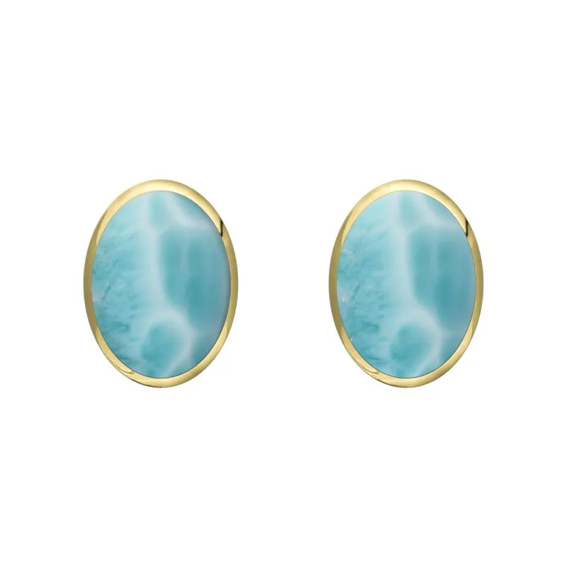 9ct Yellow Gold Larimar 7 x 5mm Classic Small Oval Stud Earrings sold by Jura Watches