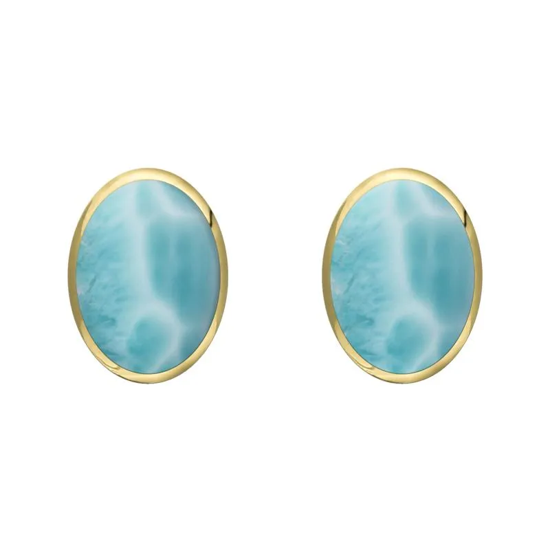 9ct Yellow Gold Larimar 8 x 6mm Classic Medium Oval Stud Earrings sold by Jura Watches