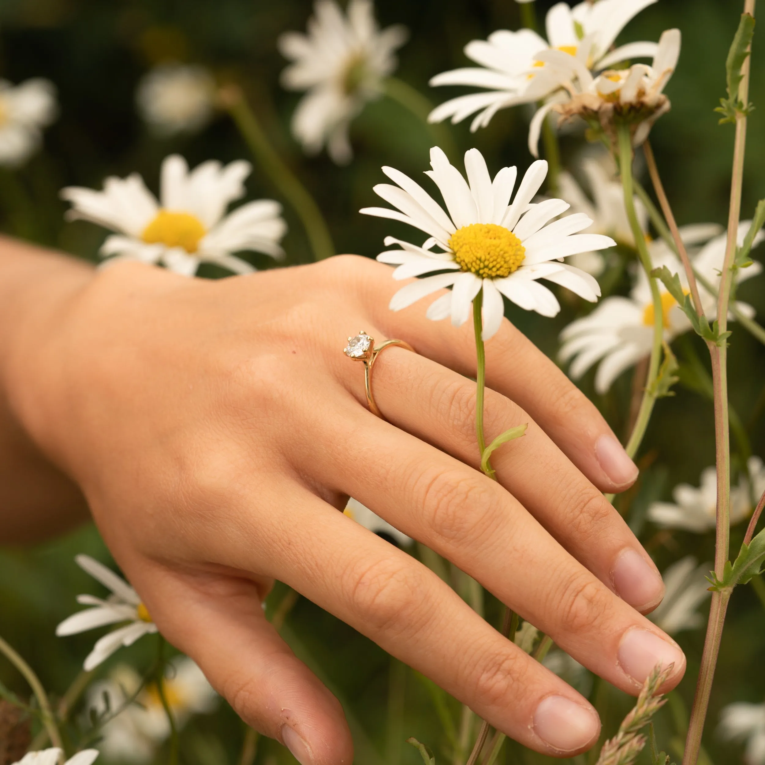 The Sissy Ring | Round Moissanite Petite Six Claw Engagement Solitaire sold by Ethica Diamonds product image thumbnail 3