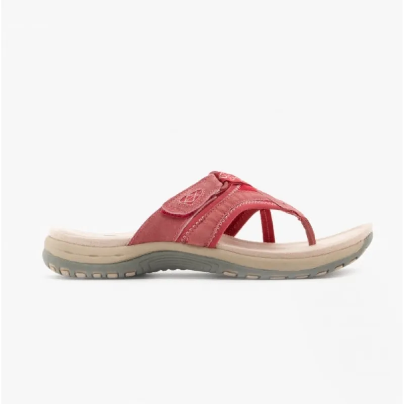 JULIET Ladies Leather Toe Post Sandals Berry sold by Shuperb