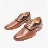 HARRY Boys Wing Capped Brogue Oxford Shoe Dark Tan/Navy sold by Shuperb