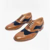 Goor DAVID Mens Two Tone Brogues Tan/Navy sold by Shuperb