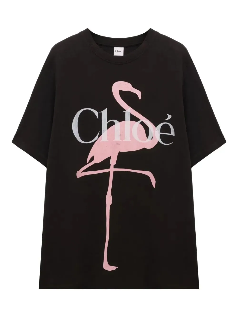 Oversized Fit Flamingo-Print Cotton Jersey T-Shirt sold by Wanan Luxury